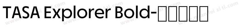 TASA Explorer Bold字体转换